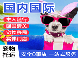 阜阳空运公司国际宠物托运 【国